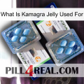 What Is Kamagra Jelly Used For viagra5